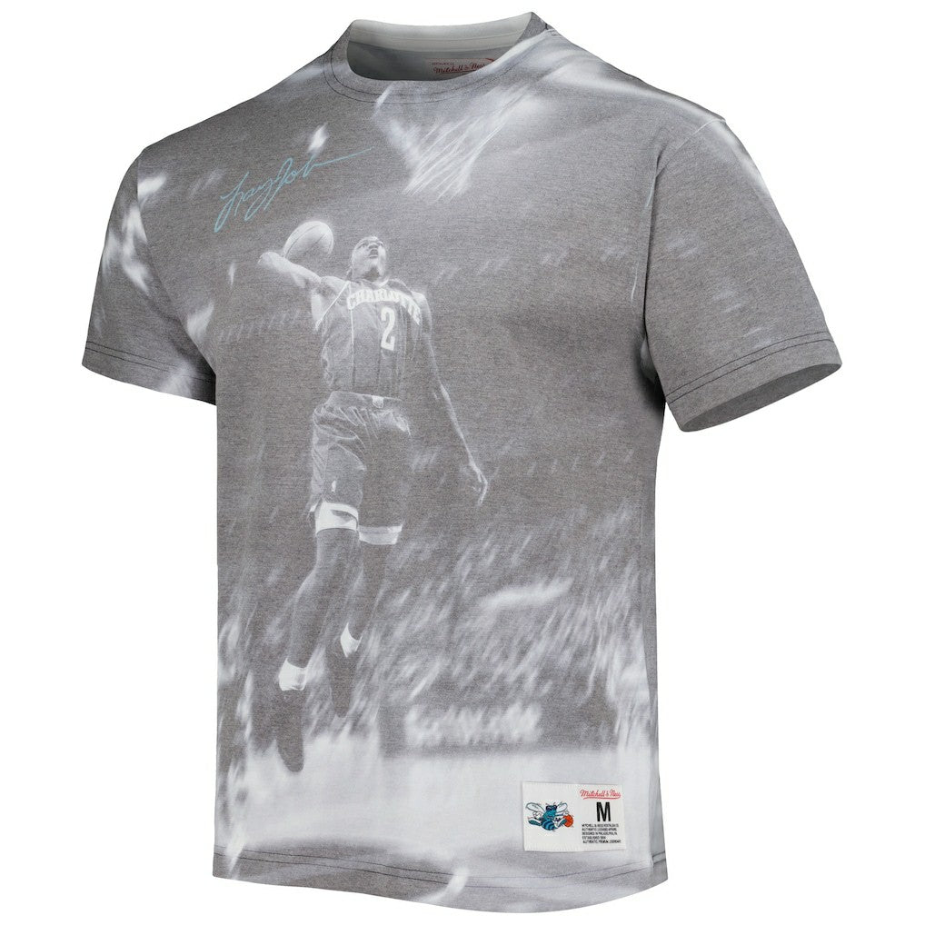 Larry Johnson Charlotte Hornets Above The Rim T-Shirt - Heather Gray | Mitchell & Ness for sale