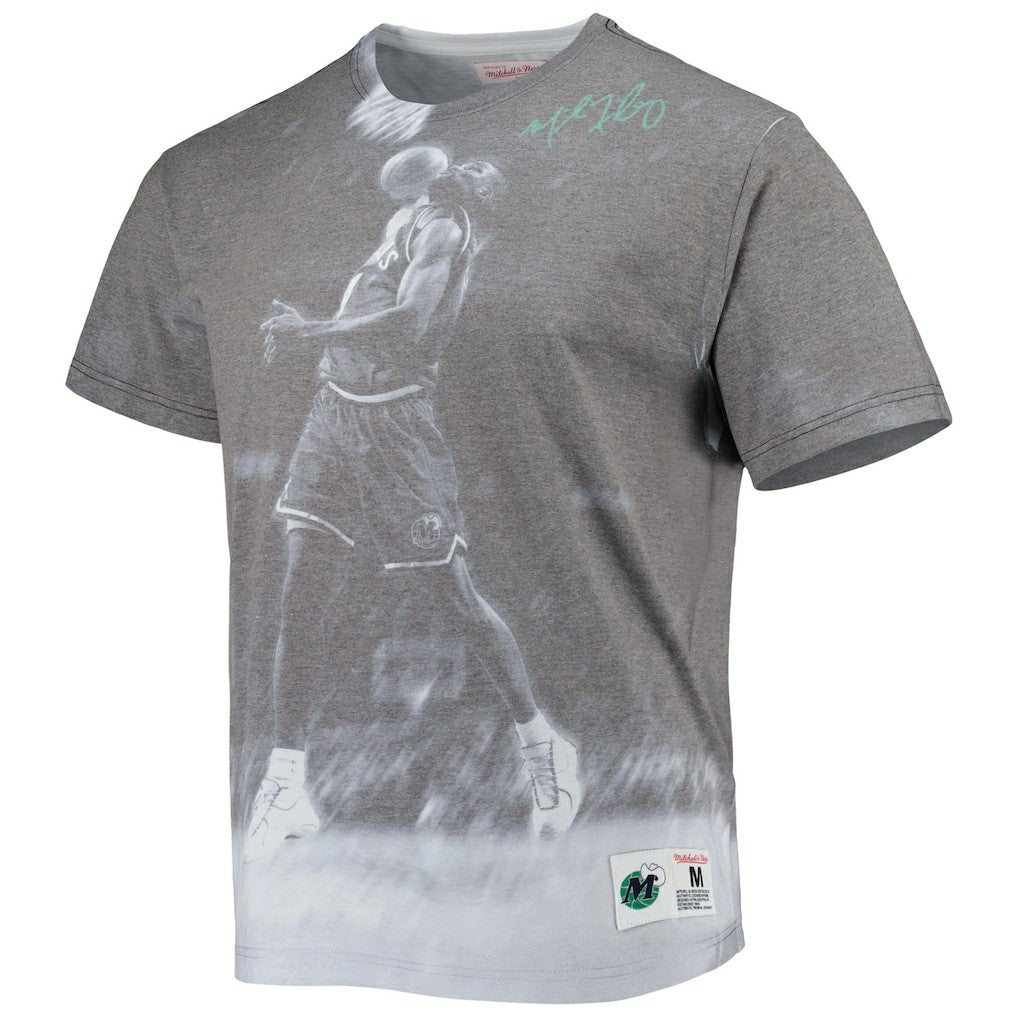 Michael Finley Dallas Mavericks Above The Rim T-Shirt sale - Heather Gray | Mitchell & Ness on sale