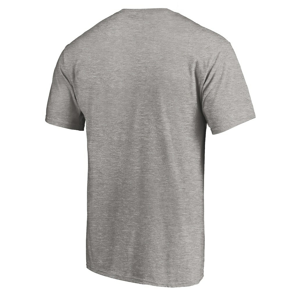 Carolina Panthers True Color T-Shirt - Heather Gray online