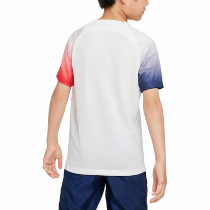 Paris Saint-Germain Youth 2023/24 Academy Pro Performance Pre-Match Top - White | Nike on sale