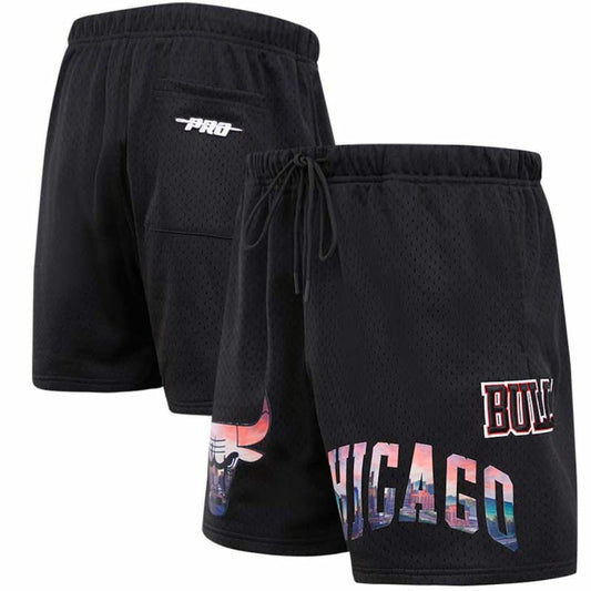 Chicago Bulls Pro Standard City Scape Mesh Shorts - Black outlet
