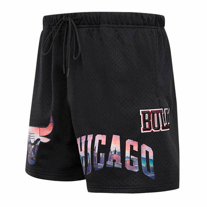Chicago Bulls Pro Standard City Scape Mesh Shorts - Black outlet