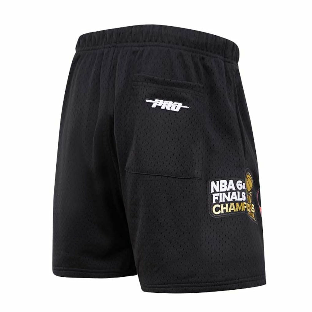 Chicago Bulls Pro Standard City Scape Mesh Shorts - Black outlet