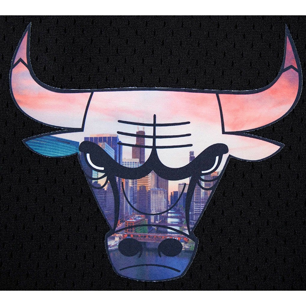 Chicago Bulls Pro Standard City Scape Mesh Shorts - Black outlet