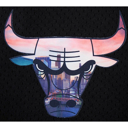 Chicago Bulls Pro Standard City Scape Mesh Shorts - Black outlet