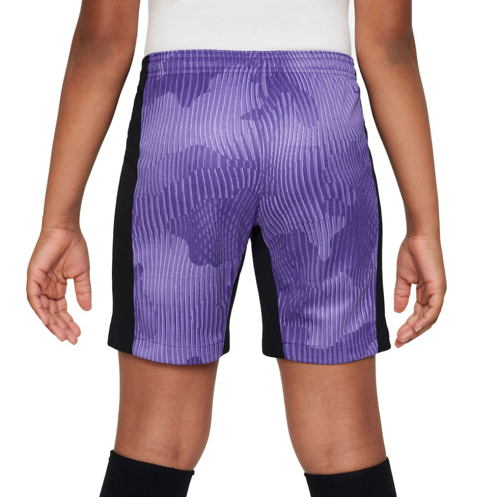 Liverpool Youth 2023/24 Third Stadium Performance Shorts - Purple | Nike outlet
