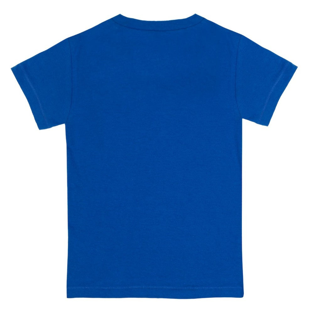 Chicago Cubs Tiny Turnip Youth Stega T-Shirt - Royal