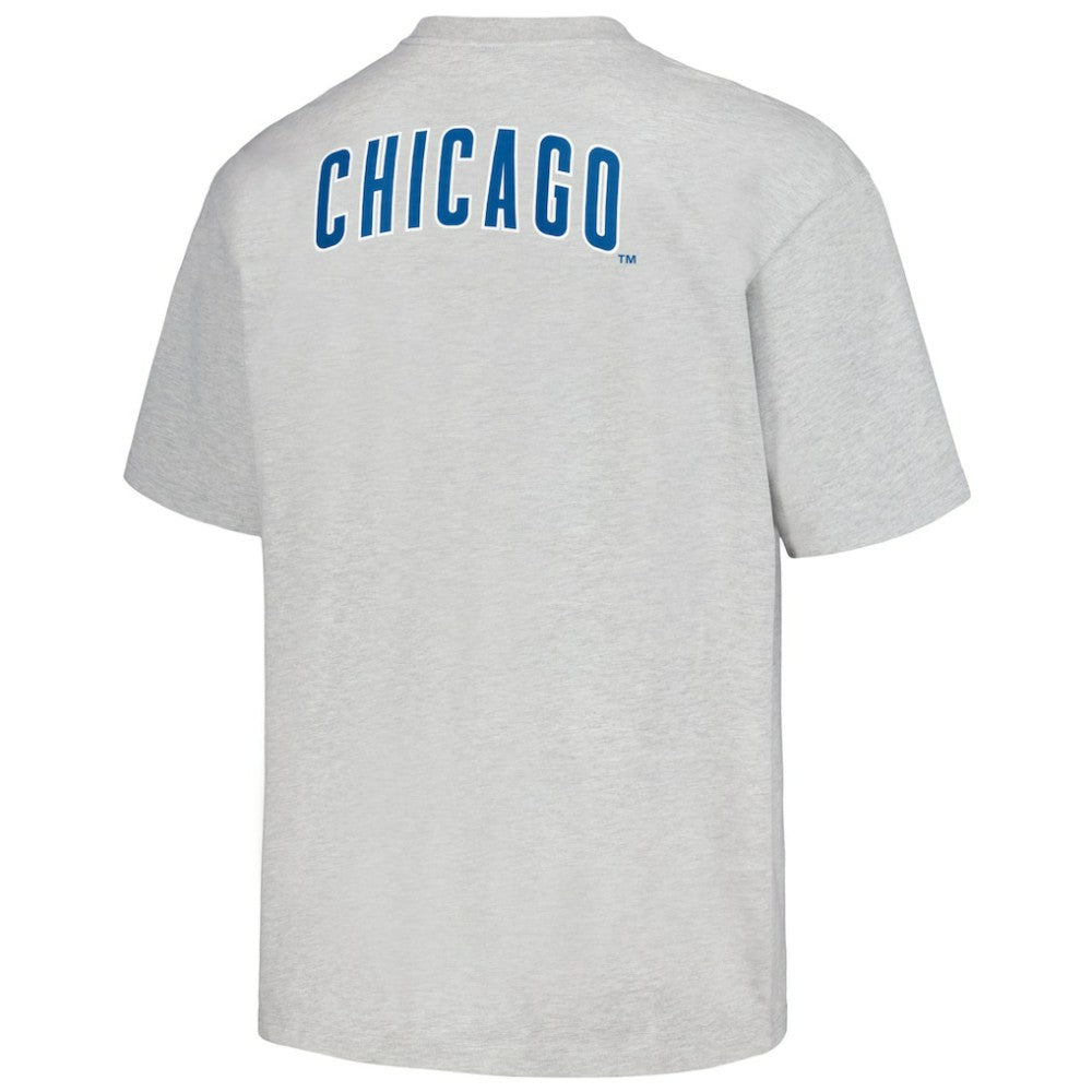 Chicago Cubs PLEASURES Mascot T-Shirt - Gray