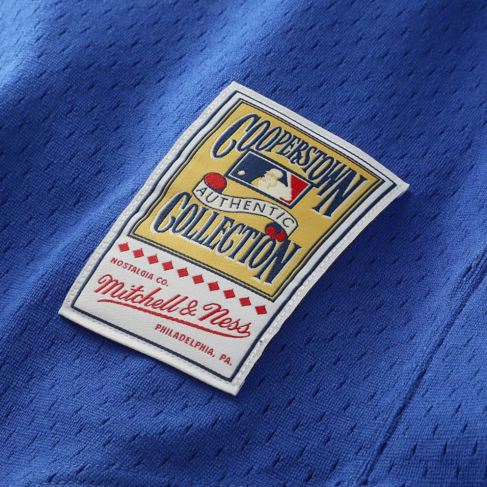 Nolan Ryan Texas Rangers Authentic Batting Practice Jersey - Royal | Mitchell & Ness