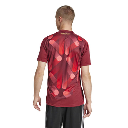 2025 Germany Women's (Men's Cut) Stadium Away Soccer Jersey Team Coll Burgundy 2