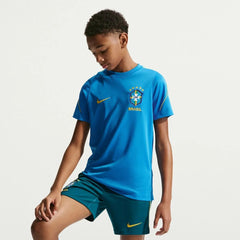 Light Photo Blue/Light Menta/Midwest Gold